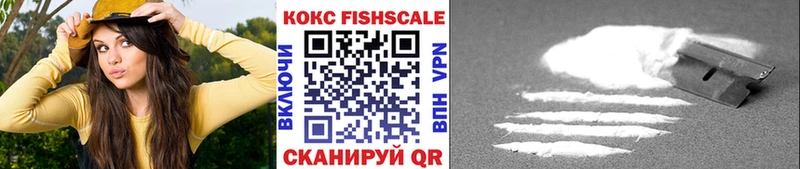 КОКАИН Fish Scale  ОМГ ОМГ ТОР  Дальнегорск 