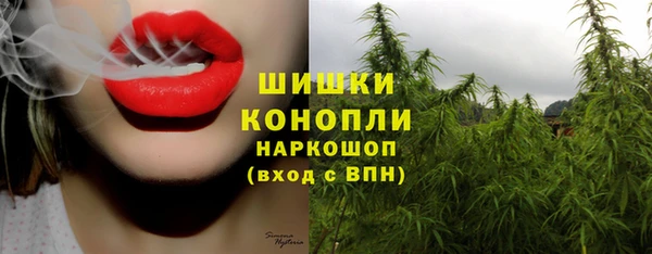 spice Богородск
