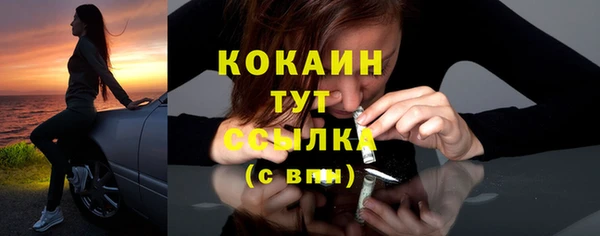 дурь Богданович