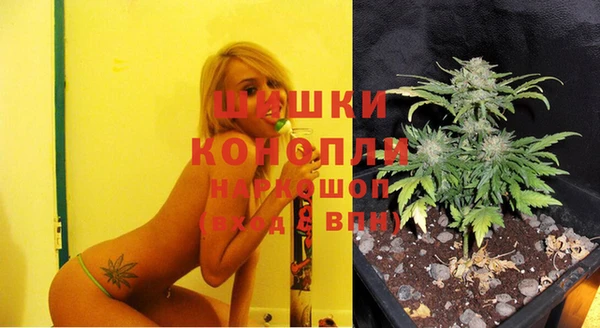 spice Богородск