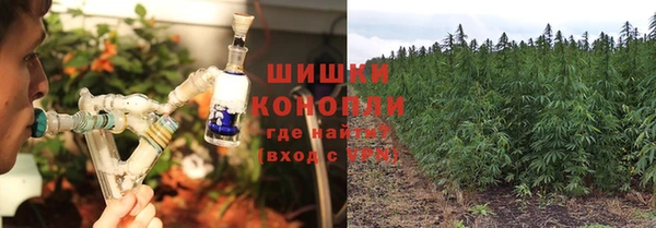 spice Богородск