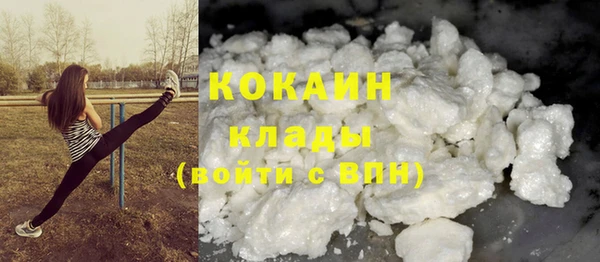 spice Богородск