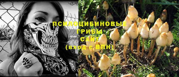 дурь Богданович