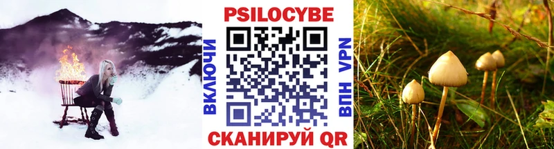 Галлюциногенные грибы GOLDEN TEACHER  Дальнегорск 